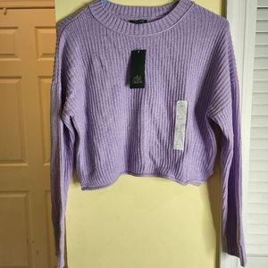 Lilac Cropped Wild Fable Sweater Size Medium
